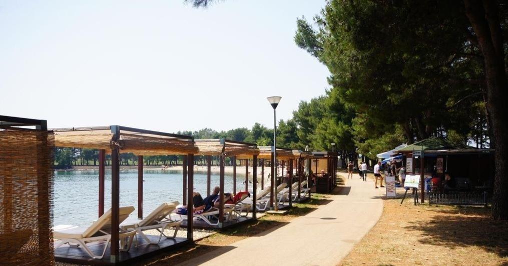 Apartman Tea Novigrad  Bagian luar foto
