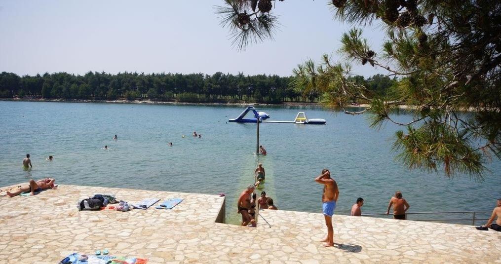 Apartman Tea Novigrad  Bagian luar foto