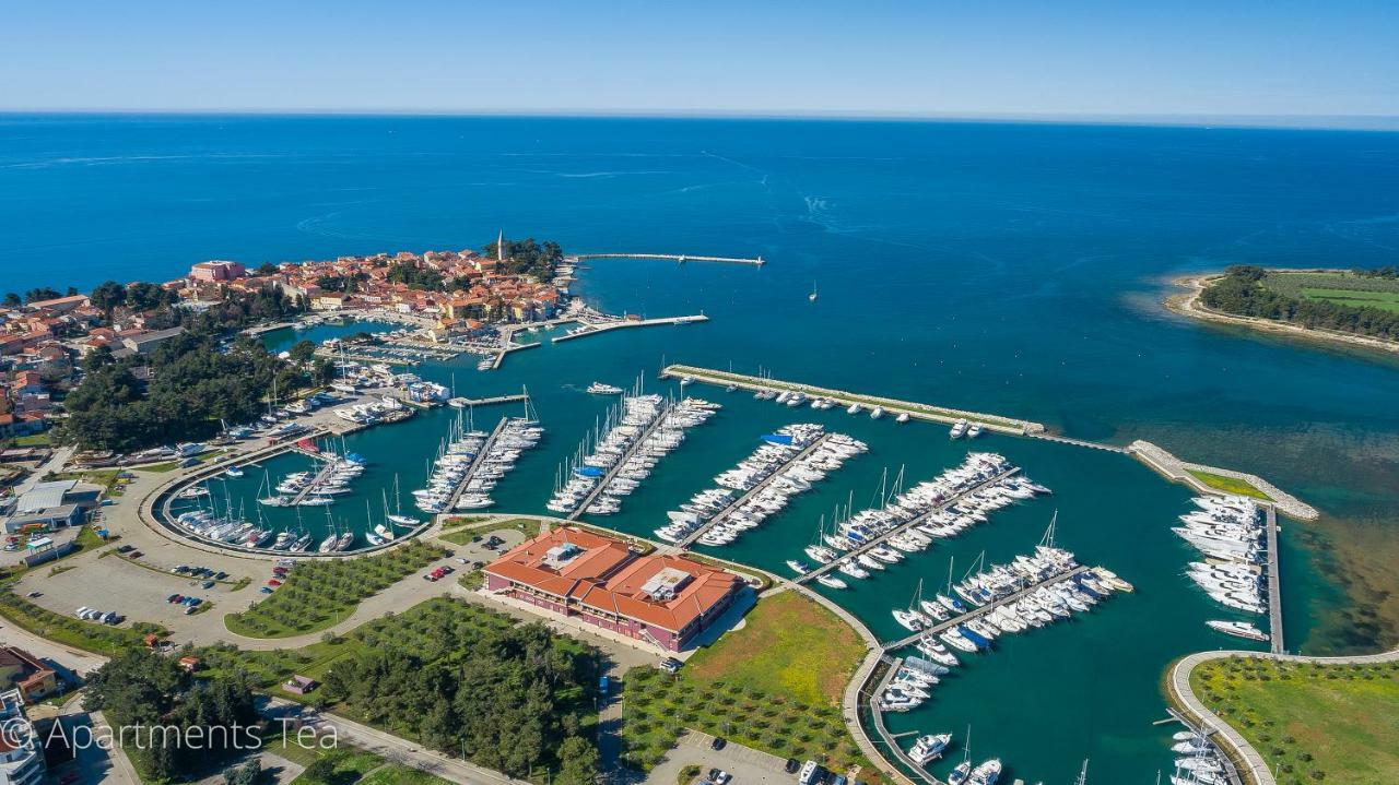 Apartman Tea Novigrad  Bagian luar foto